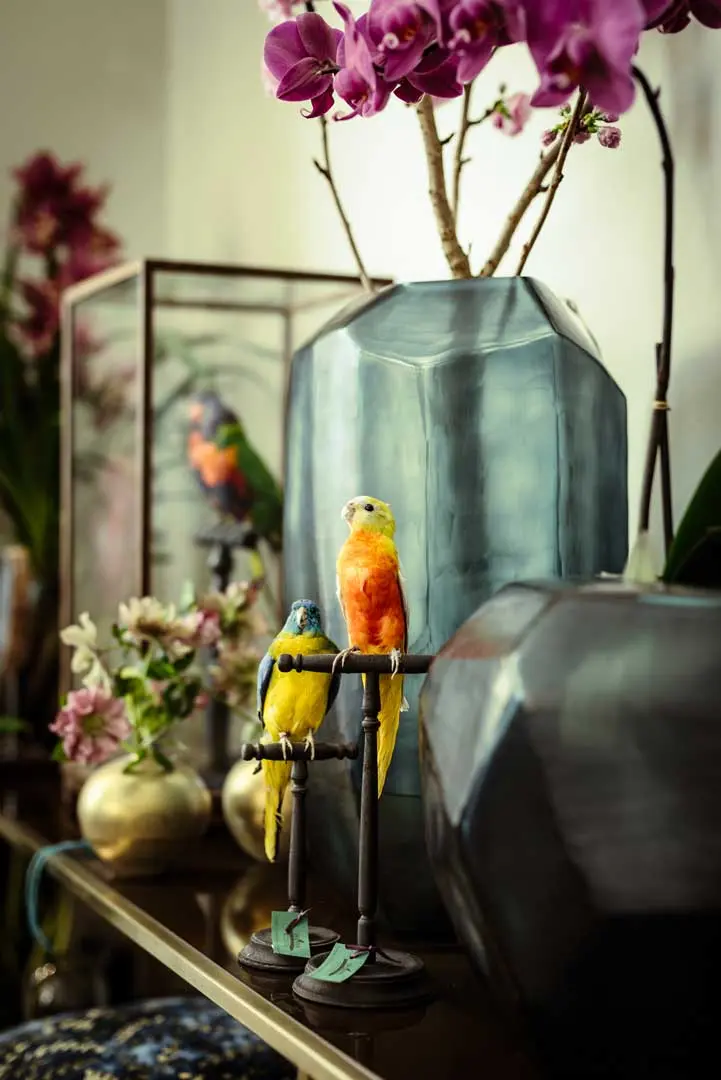 Eine Showroom-Fotografie für Blumen Bahlmann mit zwei farbenfrohe ausgestopfte Kanarienvögel, einer in Gelb und Blau, der andere in Orange und Gelb, sitzen auf Ständern vor großen geometrischen Vasen, umgeben von Blumen und Pflanzen, in einer dekorativen Inneneinrichtung.
