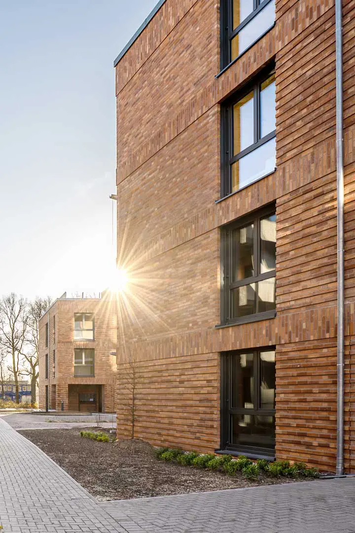 Moderne Mehrfamilienhäuser aus Backstein mit großen Fenstern, von einem Winkel aus gesehen. Die Sonne scheint hell in die Nähe der Ecke eines Gebäudes und wirft Licht und Schatten. Dies gibt dem Architekturfoto eine warme Stimmung. Im Innenhof gibt es kahle Bäume und einen gepflasterten Weg.