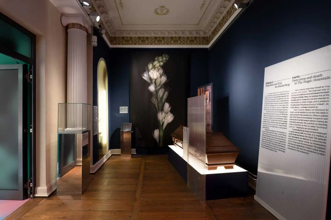 Ein Museumsraum der Ausstellung Zauberberg im Buddenbrookhaus mit dunkelblauen Wänden, Holzboden, Vitrinen, einem großen Blumenkunstwerk an der Rückwand, Informationstafeln und einer dekorativen Decke.