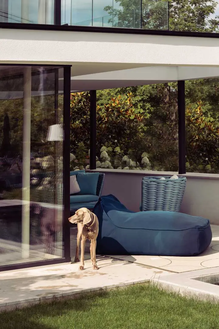 Ein Hund steht auf einer Veranda vor einem modernen Tiny House mit großen Glasfenstern. In der Nähe stehen ein blauer Liegestuhl und ein geflochtener Korb, umgeben von Grünpflanzen und Bäumen im Hintergrund.